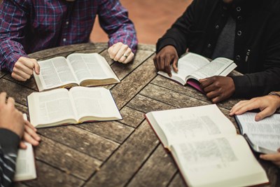 Beifuss Bible/Book Study